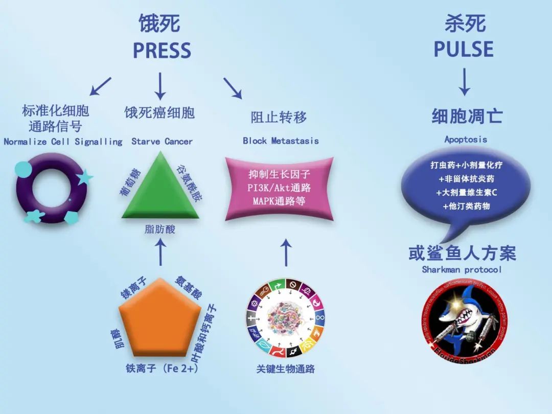 饿死癌细胞（DK版）1.0上线 - 知乎